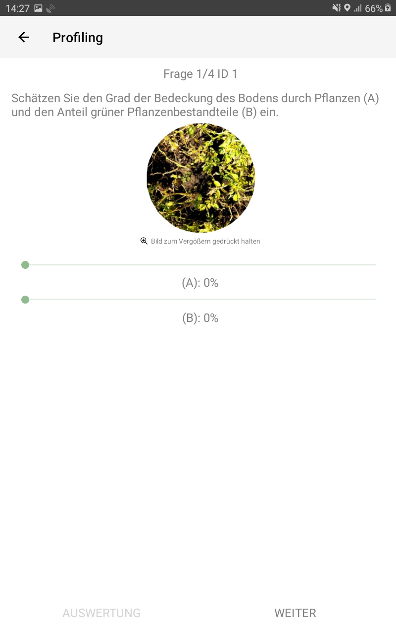 Profiling Frage Typ 1